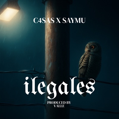 Ilegales (feat. Saymu & Valle) - Single