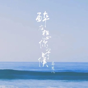醉在想你的时候 - Single