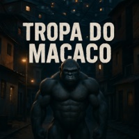 Tropa do Macaco - Single - Mc Julinho do Jaca, Biurifol, Dj Emige & Márcio Fantasia