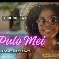 Pulo Mei (feat. Toolbox ft MC) - Single - Ozlam