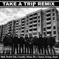 Take a trip (remixes) - EP - Dubzeno