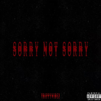 Sorry Not Sorry - Single
