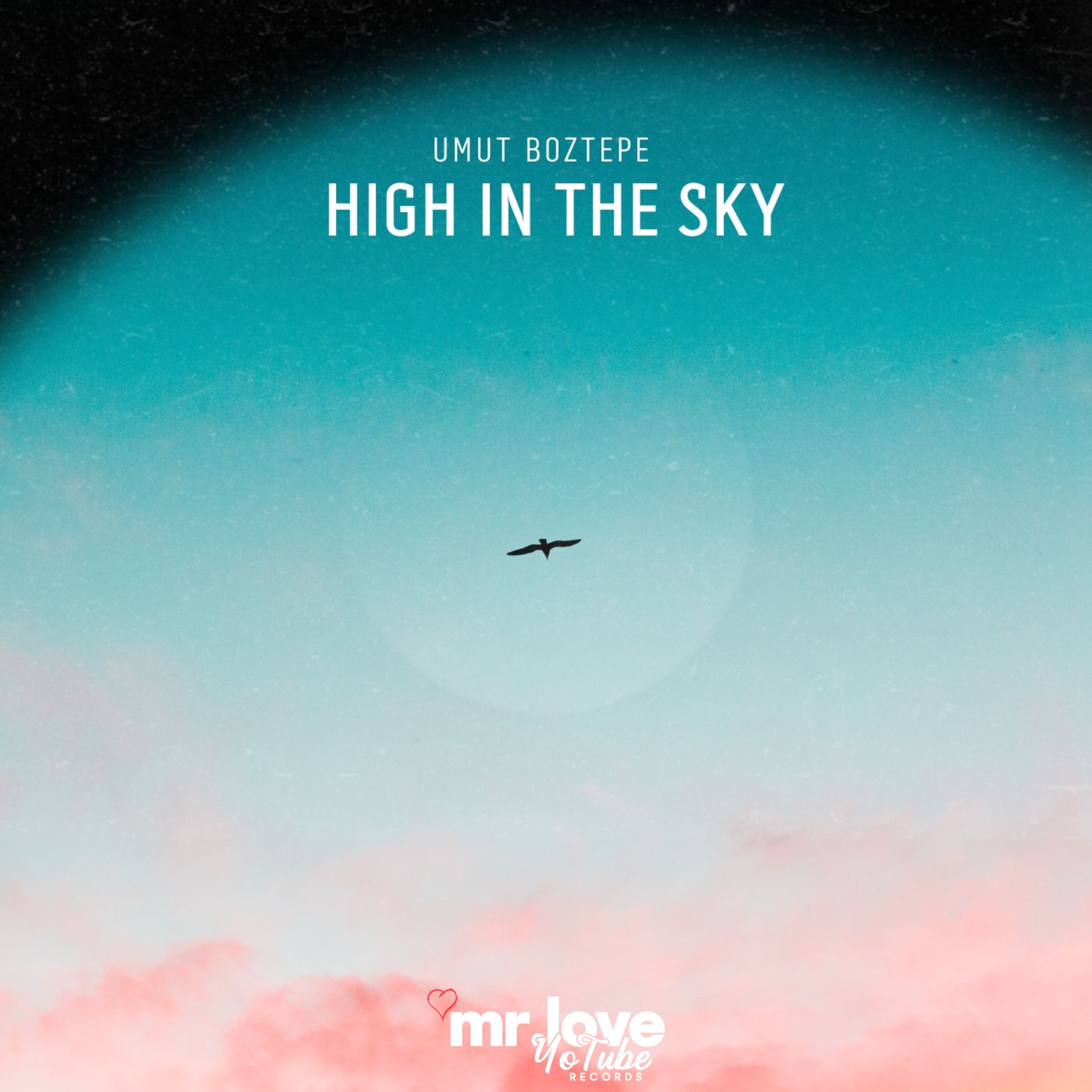 High in the Sky - Single