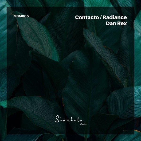 Contacto / Radiance - Single