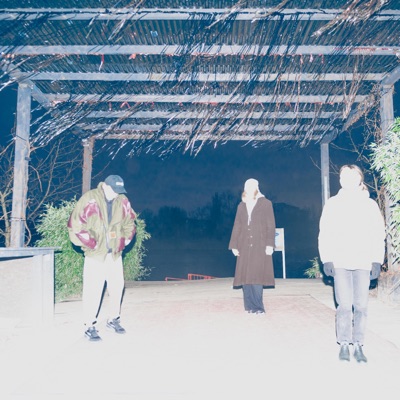 Vox Chops (feat. Szym T, MAPA & Marina Mashtaler) - Single