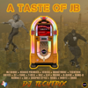 A Taste of JB (Made at 32,000 ft.) - DJ Techtrix new Single