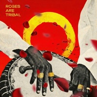 Roses Are Tribal (feat. Don EE, DJ Bradshaw & Dr Vades) - Single - Deejay J3