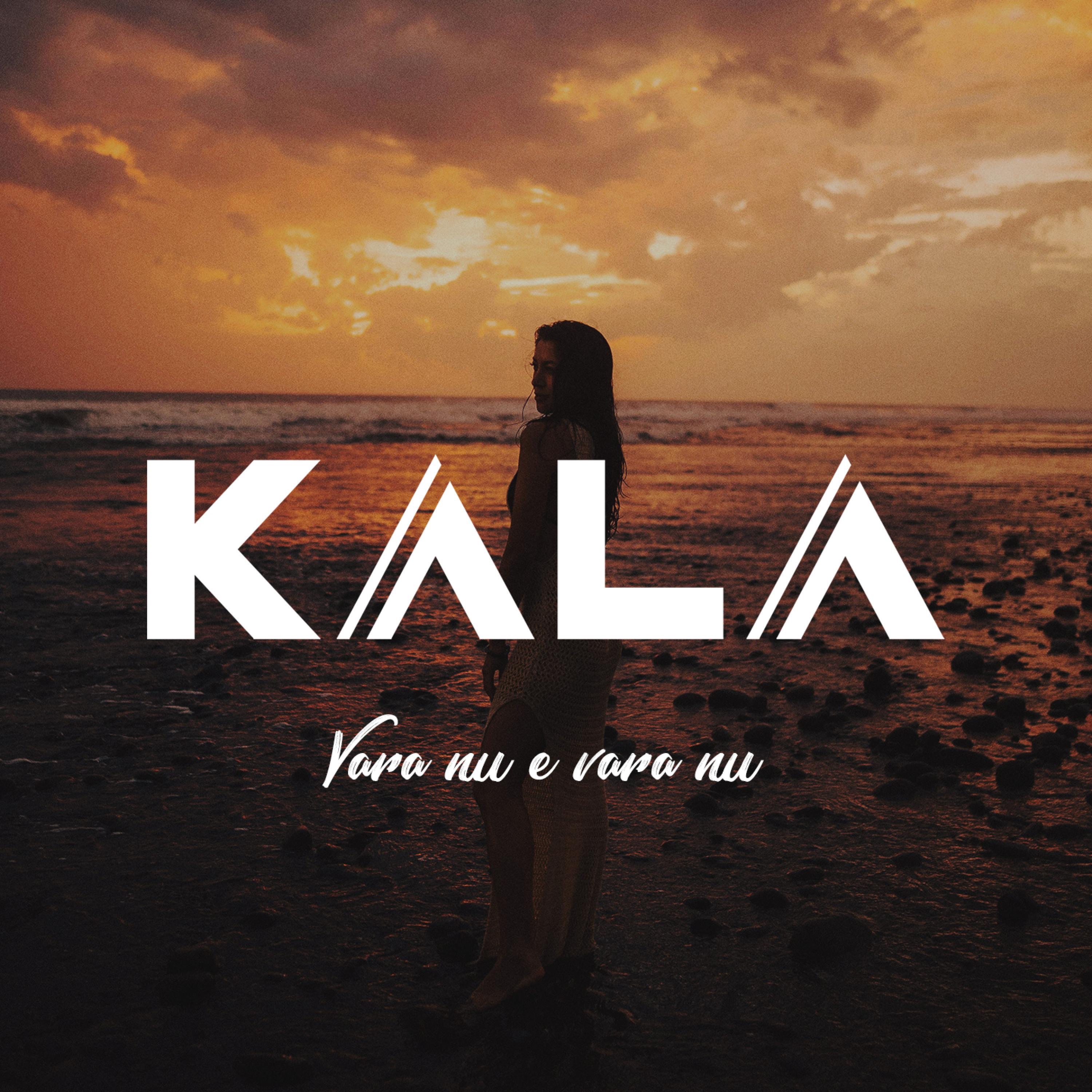 Vara nu e vara (Cover Remix) - Single