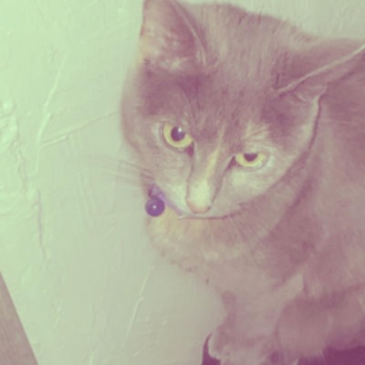 too slow 4 dis - Single