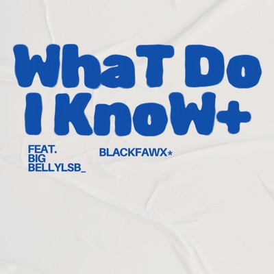 What Do I Know (feat. Bigbellylsb) - Single