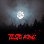 Testo King - Single