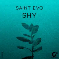 Shy — Saint Evo