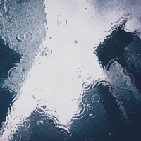 Rain - Single - Natty Dub