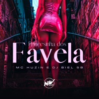 Princesinha dos Favela - Single - DJ BIEL SB & MC HUZIN