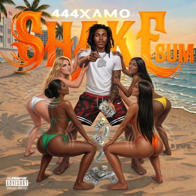 SHAKE SUM - Single