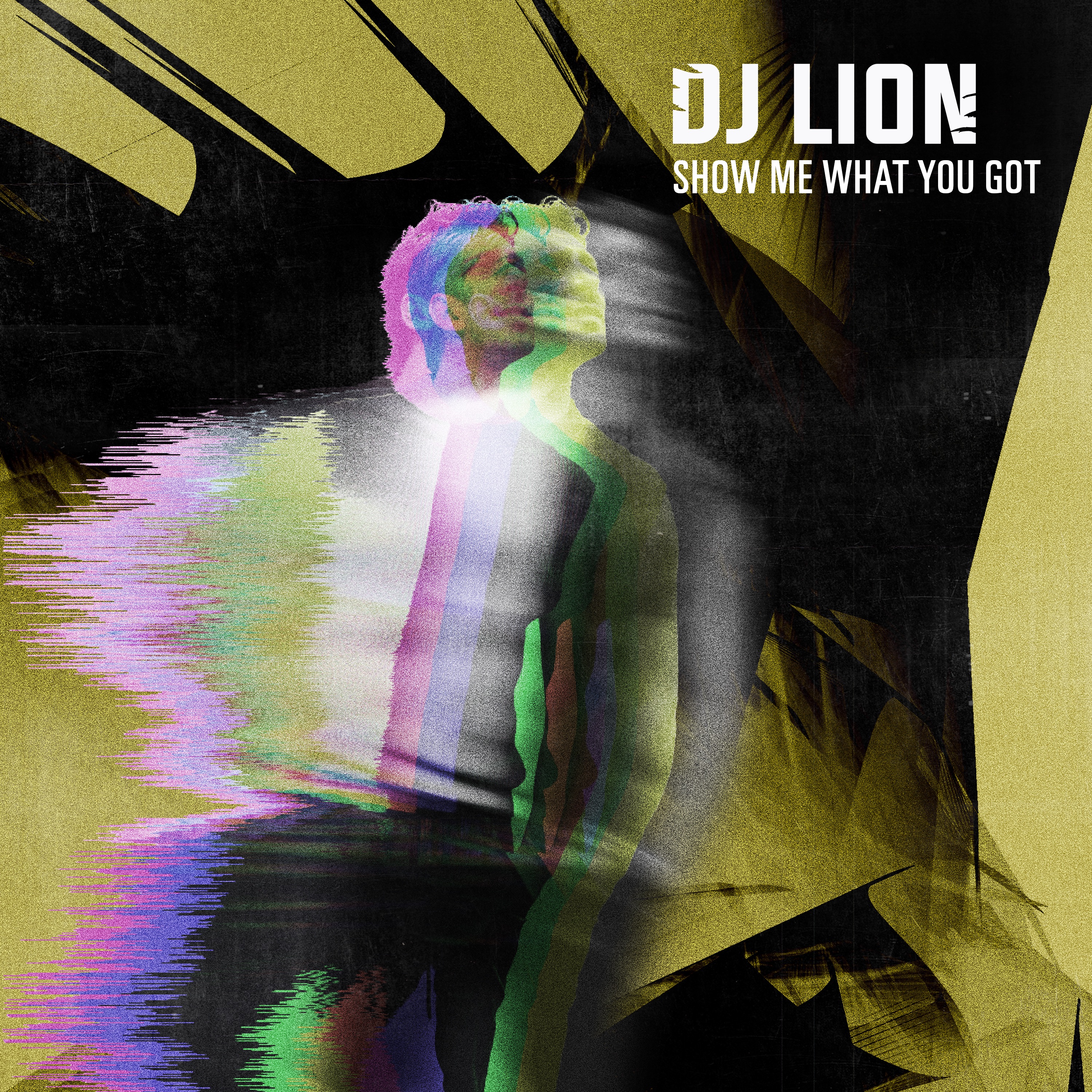 Show Me What You Got - Single