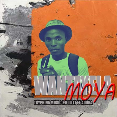 Wantayela moya (feat. bullet & adora) - Single