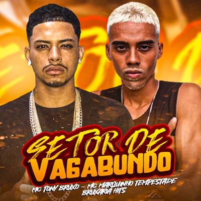 Setor de Vagabundo - Single