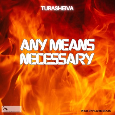 Any Means Necessary - Single