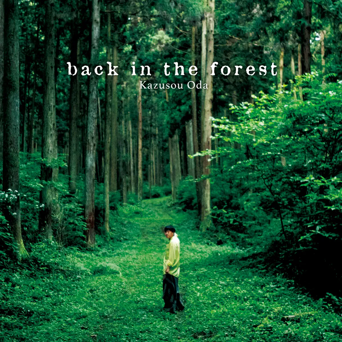 小田和奏 - back in the forest (2024) [iTunes Plus AAC M4A]-新房子