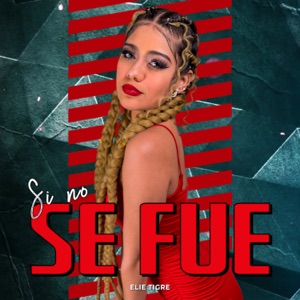 Si No Se Fue