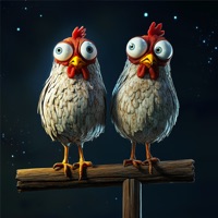 Kip Op Stok - Single - Boer Harm