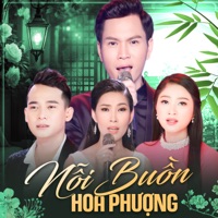 Nỗi Buồn Hoa Phượng - Mai Lệ Quyên