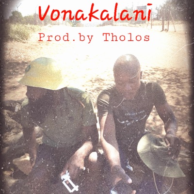 Vonakalani (feat. Zulu & Tholos) - Single