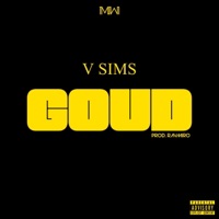 Goud - Single - V Sims
