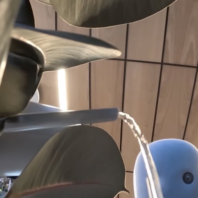 Random Electronic Hits (Live)