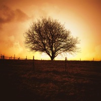 Little Longer - Single - Arcselfmade