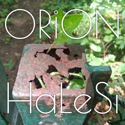 HaLeSi Orion