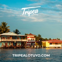 Tripea lo Tuyo (feat. Caliel & BOMBERMUSIK) - Single - Autoridad de Turismo de Panamá