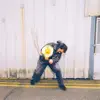 VANDAL