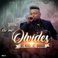 Estuve — Luis Miguel Del Amargue