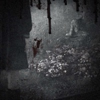 wish to be there 4 u - Single - Netami