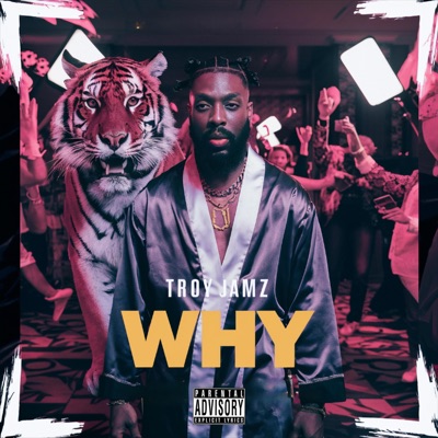 WHY (feat. Bank Bunz) - Single