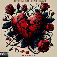 I Forgive But I Don't Forget - Iamyungp