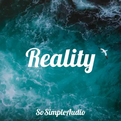 SoSimpleAudio의 Reality을(를) 감상해 보세요.