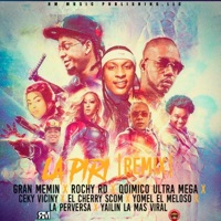 La Piri (Remix) [feat. La Perversa, Yomel El Meloso, Ceky Viciny, Quimico Ultra Mega & El Cherry Scom] - Single - Gran Memin, Yailin la Mas Viral & Rochy RD