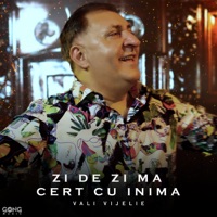 Zi de zi ma cert cu inima - Single - Vali Vijelie