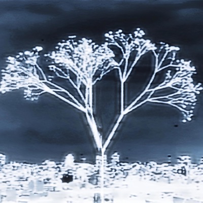 LENTO / SIBILA - Single