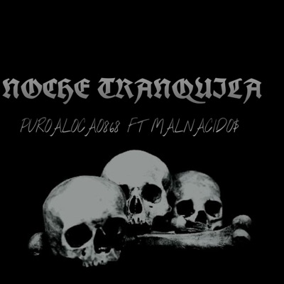NOCHE TRANQUILA (feat. MALNACIDOS) - Single