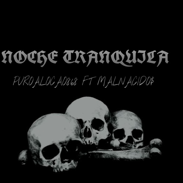 NOCHE TRANQUILA (feat. MALNACIDOS)