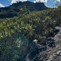 Summoned (feat. Vizcor) - Single - CATVLYST