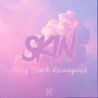 Skin (Reimagined) - Single - LandBreaker & Colby Brock