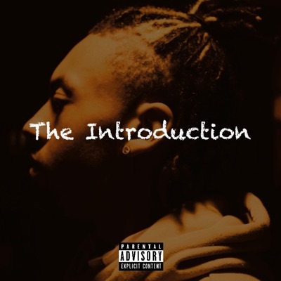 The Introduction