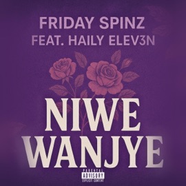 NIWE WANJYE (feat. Friday Spinz & Haily Elev3n) 24 Dark