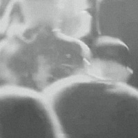 CRITICAL - Single - Jang MP