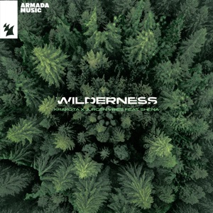 Wilderness (feat. Shena) - Single
